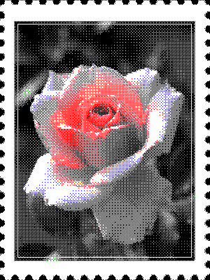 inscription 993ee4d1231da7eee401bb6f8022dc364fb4112ec33e018bb51e45fe9d049742i0